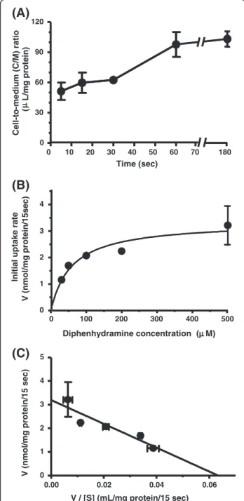 Figure 1 Diphenhydramine uptake by hCMEC/D3 cells. (A) Time course of the cell-to-medium (C/M) ratio of diphenhydramine uptake by hCMEC/D3 cells