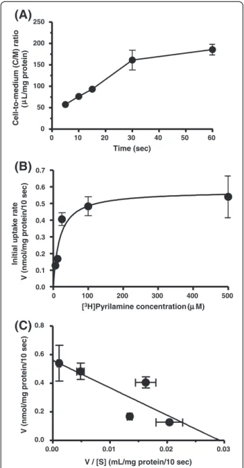 Figure 2 [ 3 H]pyrilamine uptake by hCMEC/D3 cells. (A) Time course of the cell-to-medium (C/M) ratio of [ 3 H]pyrilamine uptake by hCMEC/D3 cells