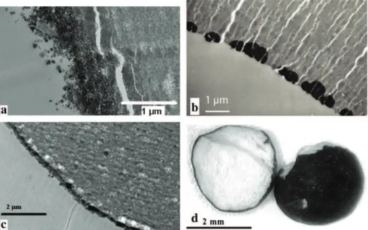 Fig. 5. EM or microscope micrographs for the various metallic nanoparticles; a) iron (S4); b) palladium (S7); c) rhodium (S9); d) manganese (S6).