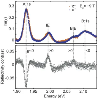 FIG. 9: Absorption and differential reflectivity con- con-trast at zero electric field (F z = 0 MV/cm)