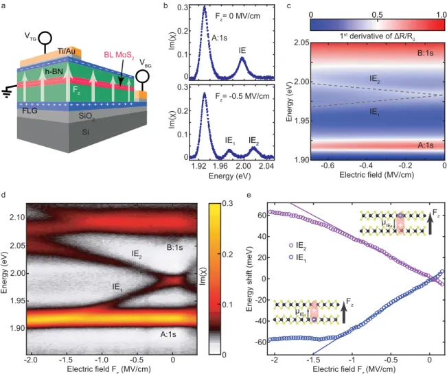 FIG. 1: MoS 2 bilayer van der Waals heterostructure (vdWH) in an applied electric field (all at T = 4 K)