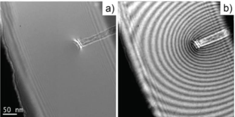 Figure 6: Double exposure holography on a eld emitting Carbon Cone nanoTip. a) Raw hologram obtained for the emitting CCnT during its collapse