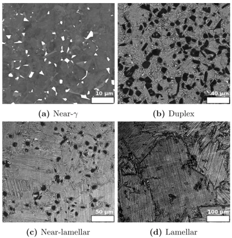 Fig. 1. SEM micrographs of the generic microstructures studied in this work.