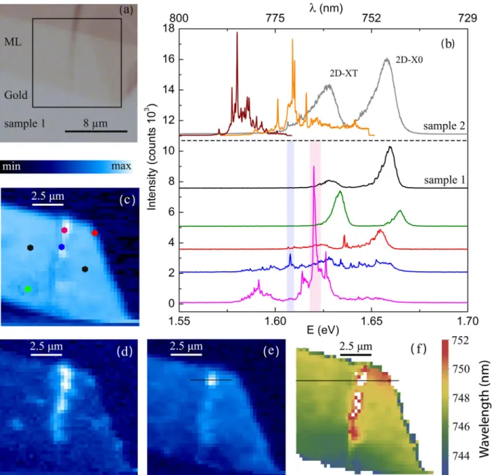 FIG. 1. (a) Micrograph (50 magnification) of sample 1, ML MoSe 2 on a gold surface where the flake formed a wrinkle which can be recognised by a line with darker colour