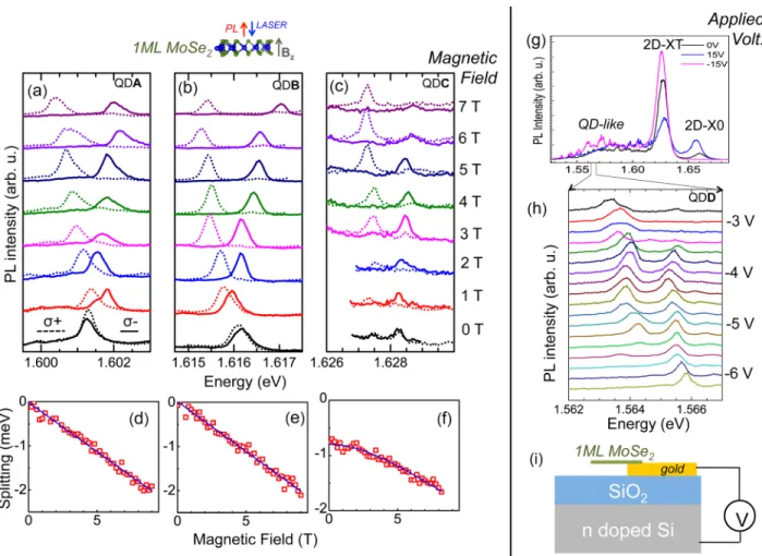 FIG. 2. T ¼ 4 K. (a) Photoluminescence spectra from a single discrete line QD A from sample 2 taken at different applied magnetic fields B z perpendicular to the sam- sam-ple plane