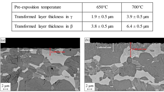 Fig. 5. Surface characterization of TNM-B1 alloy after testing for (a) Group B (650°C/500 h) and  (b) Group C (700°C/500 h) specimens