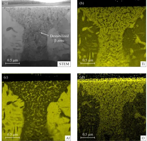 Fig.  8.  STEM  EDX maps  of a  destabilized   zone  (TEM  thin  foil  extracted by  FIB)