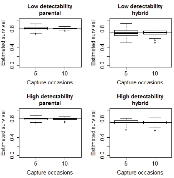 Figure S3. Scenario 2 (homogeneous detectability and state-dependent assignment probability)