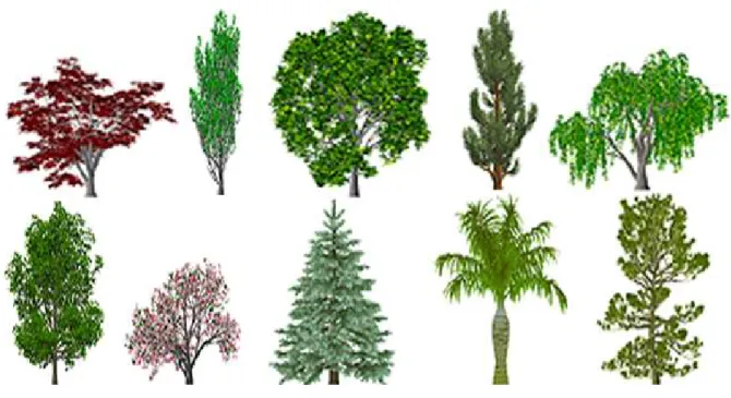 Figure 1. Exemples d’arbres produits par OnyxTree. 