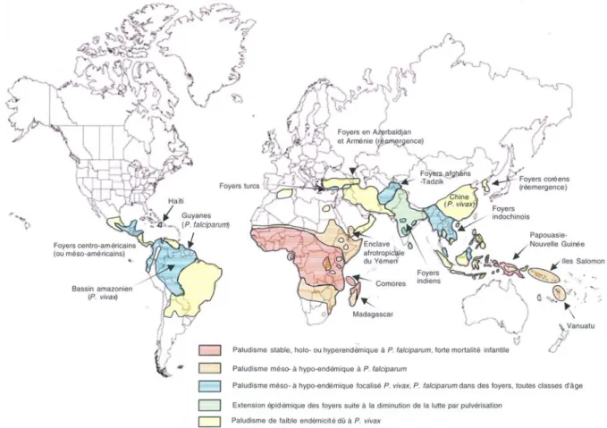 Figure 3 – Distribution épidémiologique du paludisme dans le monde selon l'endémicité  (d'après (Mouchet et al