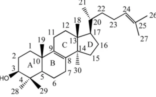 Figure  7  :  nomenclature  des  atomes  de  carbones  des  stérols,  International  Union  of  Pure  and  Applied Chemistry - International Union of Biochemistry, 1989 (Lepesheva et al