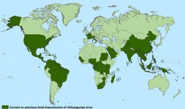 Figure 12: Countries and territories where chikungunya cases reported (116) 