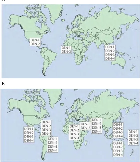 Figure  17:  The  change  in  distribution  of  dengue  serotype.  The  figure  shows  the  distribution in 1970 (A) and 2004(B) (240)