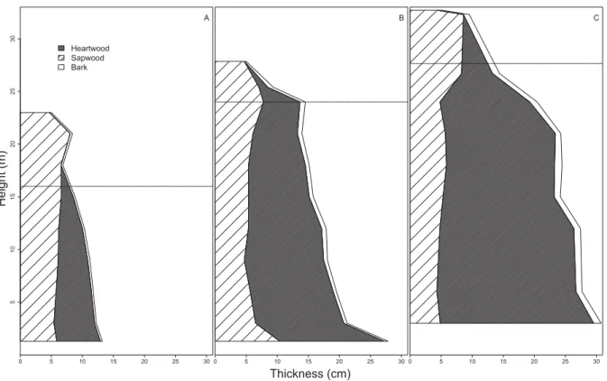 Fig. 4: Mean sapwood, heartwood and bark thickness tapering for three individuals of different sizes