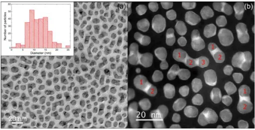 Figure 2: FeRh@Au nanoparticles. (a) TEM micrograph of the FeRh NPs after the deposi- deposi-tion of a gold layer and its corresponding size histogram revealing an important enlargement of the NPs.(b) STEM-HAADF image of the trimetallic NPs showing the FeR