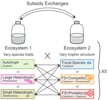 Figure 1. The experimental design consists of two-patch meta-ecosystems linked by 551 