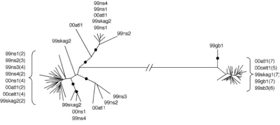 Table 2 Genetic diversity estimators and estimated census and eﬀective population sizes for Sagitta elegans and S