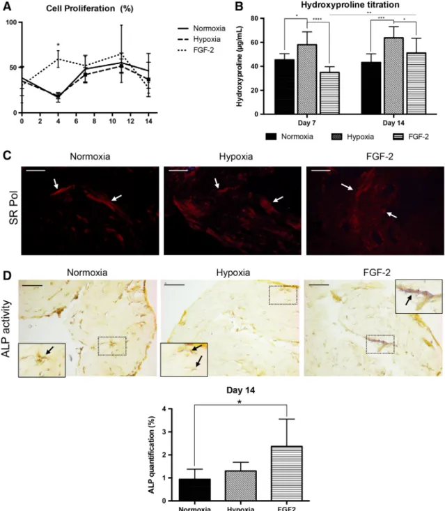 Figure 2. Effect of hypoxia and FGF-2 primings on stem cells from human exfoliated deciduous teeth in tissue-engineered scaffolds.