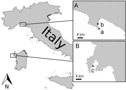 Figure 1. Collection sites of Crambe crambe in the Ligurian Sea (A) (a Punta del Faro, b Punta Pedale);