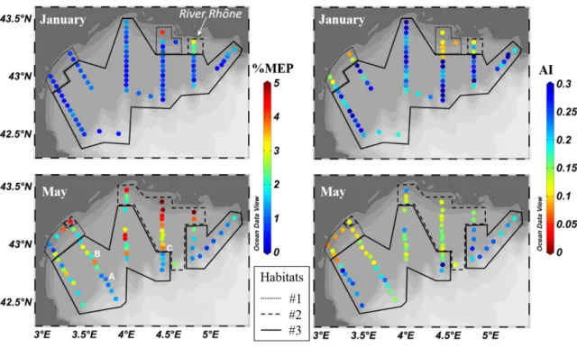 Fig. 2. Indicators of particles counted by the LOPC in January 2011 (top) and May 2010 (bottom)  in the Gulf of Lion: % of MEPs in total LOPC counts (left side) and the MEPs’ mean attenuance  index (AI, right side)