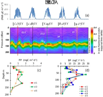 Figure 6. Evolution of surface PAR (a), in vivo fluorescence and pycnoclines (b), PP (c) and BP (d) at site LDB