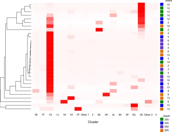 Figure 2. Heatmap of nifH clusters and subclusters across the stations. The Bray–Curtis distances were used to build the dendrogram on the left