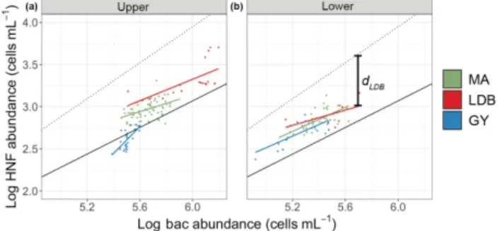 Figure 6. Log–log plot of Z u bacteria and HNF abundances (up- (up-per, a) and log–log plot of Z l bacteria and HNF abundances (lower, b)