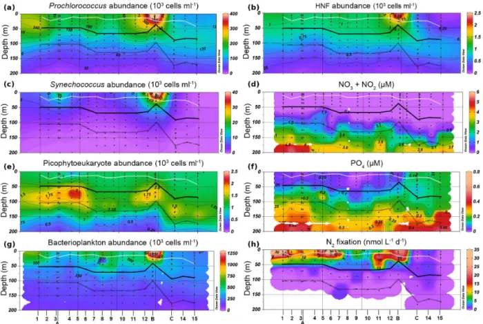 Figure 2. Contour plots depicting plankton abundances (a, b, c, d, e), nutrient concentrations (f, g) and N 2 fixation (h) distributions along the OUTPACE transect