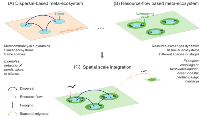 Figure 1: Gradient of meta-ecosystem types and their spatial integration in the landscape