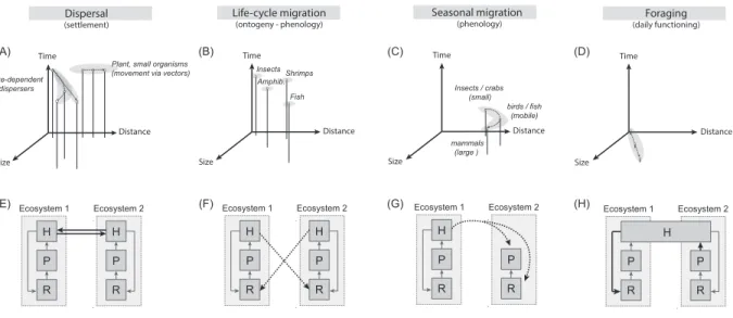 Figure I. Scales of organism movement types and effects on meta-ecosystem dynamics. 