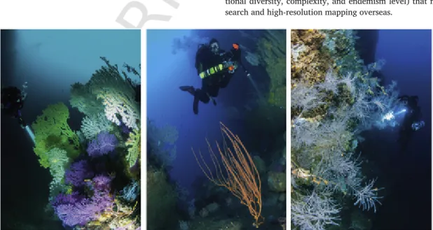 Fig. 2. Temperate mesophotic ecosystems at approximately 100 m depth in the North East Atlantic Ocean (west coast of Portugal)