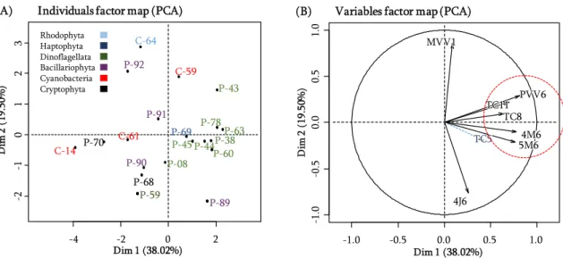 Figure 4. CLSM observations of three bacterial strains from Atlantic Ocean (Bacillus sp