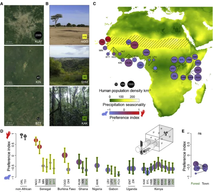 Figure 1. Preference for human odor varies widely in Aedes aegypti mosquitoes across Africa