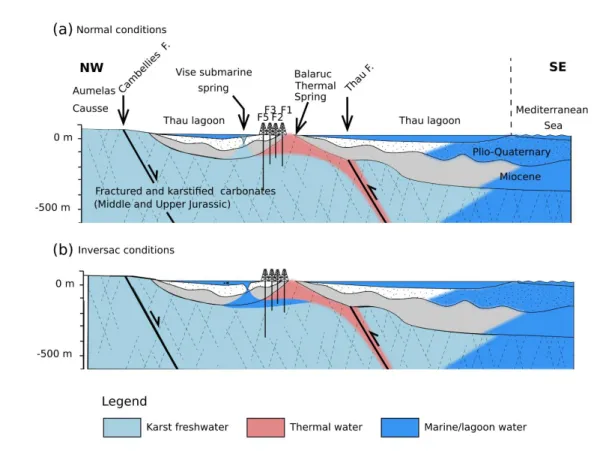 Figure 2: Conceptual cross-section oriented NW-SE passing through thermal wells of the Balaruc peninsula, and 287  showing groundwater flows of the karst hydrosystem under (a) normal conditions and (b) inversac conditions