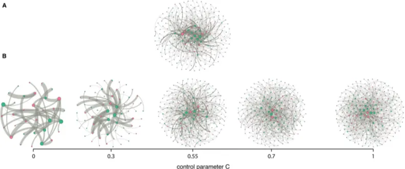 Fig 2A displays the empirical experimental network, and Fig 2B displays several simulated experimental networks generated for different values of the control parameter C