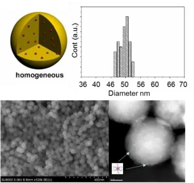 Fig. 2. Schematic homogeneous nanoparticle (top left). SEM (bottom  left, bar is 400  nm) and  HAADF-STEM (bottom right,  bar  is 10  nm)  images of Cs 2 Mo 6 I 8 (C 2 F 5 COO) 6 @SiO 2  and histogram of the diameter  (top right)