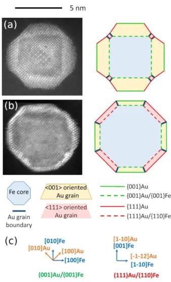 FIG. 1. Typical NPs for large (a) and small (b) shell/core volume ratio. High resolution 