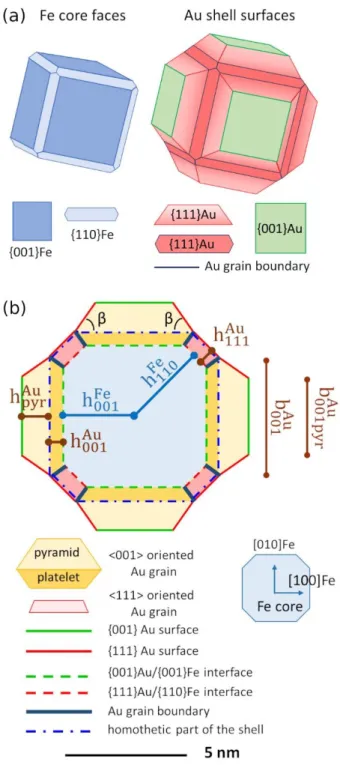 FIG. 2. Generic model of a Fe@Au NP. (a) 3D view of the Fe core and Au shell surfaces