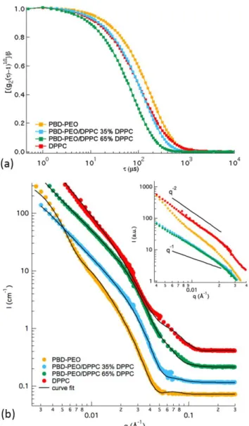 Figure 6. PEO-PBD/DPPC mixed LUV: DLS and SANS.  (a) Representative normalized DLS  curves  of  PEO  (yellow  markers),  PEO/DPPC  35  mol  %  (blue  markers),   PBD-PEO/DPPC  65  mol  %  (green  markers),  DPPC  (red  markers)  nano-assemblies  dispersion