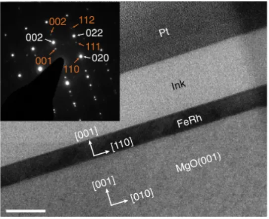 Figure 1 presents a TEM image of the area used for the EH study. The corresponding diffraction pattern demonstrates the epitaxial growth of the monocrystalline FeRh layer on the substrate with a 45° rotation between the FeRh bcc lattice and the MgO fcc lat