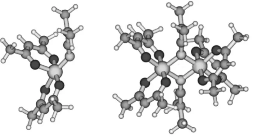 Figure 2. DFT optimized geometries of mononuclear (left) and dinuclear (right) (acac) 2 Co-N=C=C(CH 3 ) 2