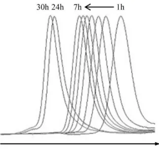 Figure 9. Evolution of SEC chromatograms with time for the VAc polymerization initiated at 30°C by the pink cobalt adduct 2  in the presence of a stoechiometric amount of pyridine (Table 3)