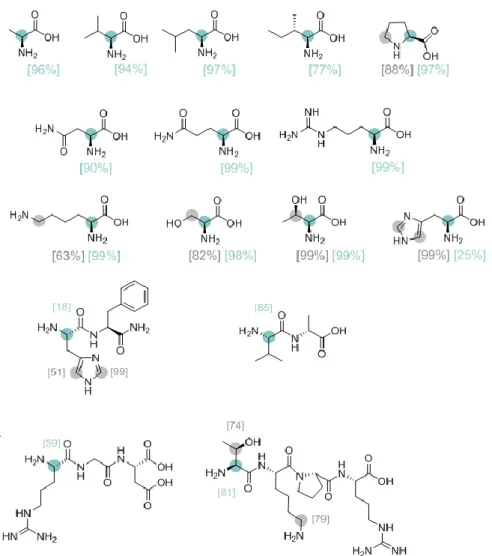 Figure 11. Transition state in the C-H activation step for the Langmuir–Hinshelwood-type H/D  exchange mechanism calculated by DFT for 1 nm Ru 55 D n  clusters