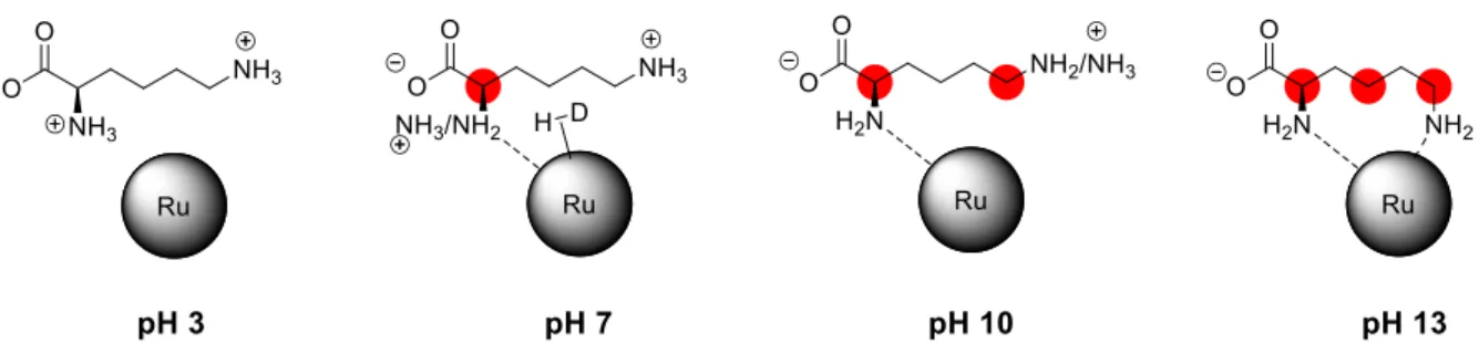 Figure 13. At a pH value of 3, all the amino groups are protonated, and L-lysine does not react with  Ru NPs