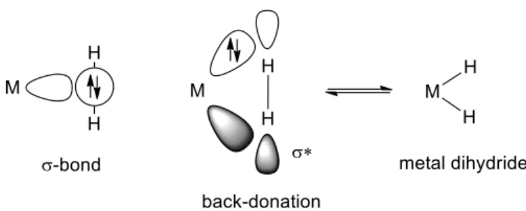 Figure 1. Bonding in a σ-H 2  complex and oxidative addition 