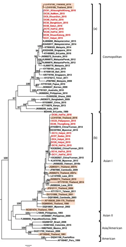Fig 3. Phylogenetic analysis of DENV-2. Maximum-likelihood tree of dengue virus serotype 2 envelope gene sequences, generated using the GTR+G substitution model