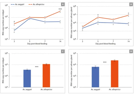 Figure 2. Kinetics of Mayaro (MAYV) infection of Ae. albopictus and Ae. aegypti mosquitoes