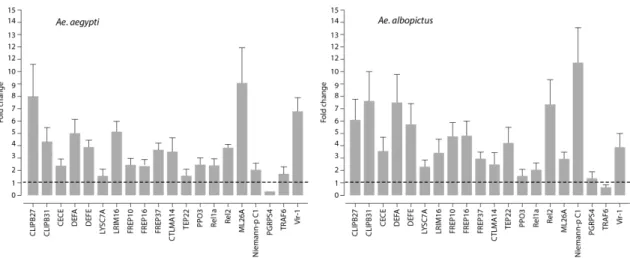 Figure 4. Quantification of immune gene expression. Fold change in putative immune gene  expression in the midgut following the feeding of Ae albopictus and  Aedes aegypti mosquitoes with  MAYV-containing blood, as compared to non-infectious blood meal as 