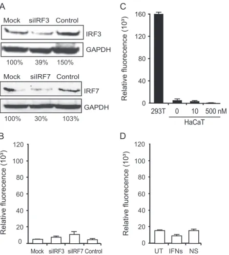 Fig. 7. Consequences of IFN signaling perturbators on CHIKV replication in keratinocytes (A) HaCaT cells were transfected with siRNA to IRF3 or IRF7 or non-targeting duplexes (control)
