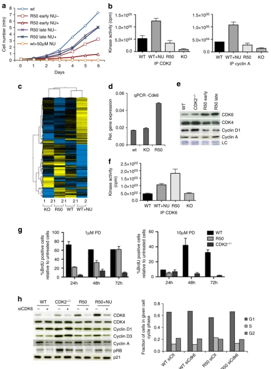 Fig. 2 Cell cycle rewiring in CDKi-resistant cells. a HCT116 WT and R50 early and late cells were grown in the absence or presence of 50 μ M NU6102 and the cell number was evaluated every day for 6 days